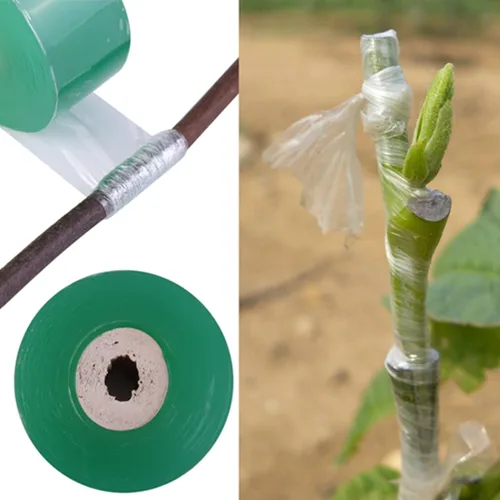Vista 3 de Cinta autoadhesiva de injerto para plantas, cinta de injerto de polietileno elástica de 328 pies para árboles frutales, flores, bonsái tomate, cinta