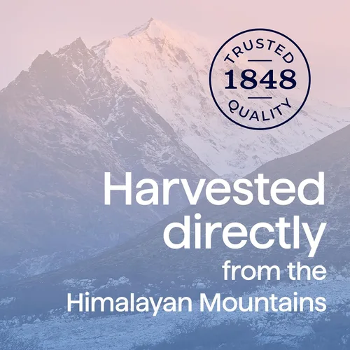 Vista 7 de Morton Sal rosa del Himalaya yodada, 22 onzas (paquete de 2)
