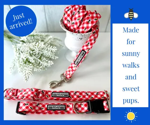 Vista 2 de Lucky Love Dog - Collar de perro ajustable con hebilla de fácil clic para los pequeños, duradero y cómodo para perros machos y hembras, collar