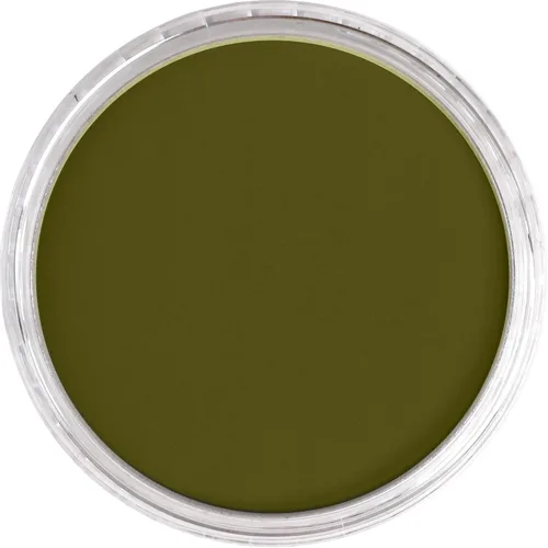 Vista 5 de PanPastel Golden - Pasteles para artistas, amarillo brillante verde extra oscuro, 2.44 pulgadas/2.441 in de diámetro, pasteles para artistas