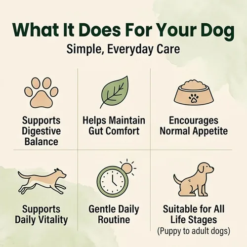 Vista 4 de Gotas de limpieza de parásitos, suplemento de probióticos triples, apoyo que promueve la salud intestinal y digestiva, hierbas naturales para perros
