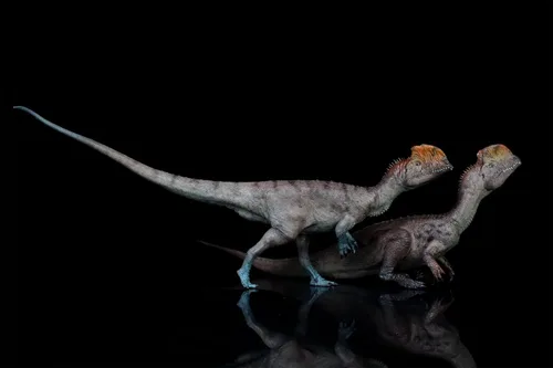 Vista 6 de HLG - Figura decorativa de dinosaurio de dilofosaurio a escala 1:35 (rojo)