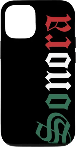 Vista 28 de Sonora Mexico Mexican Flag State Estado Case for iPhone 16