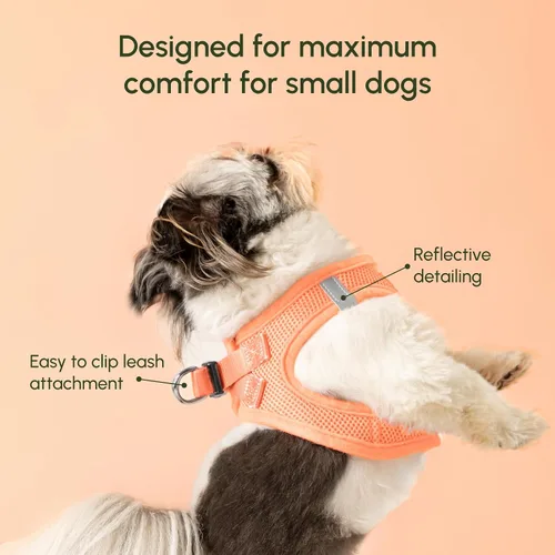 Vista 186 de Downtown Pet Supply Arnés para perro Step-in – Sin tirones, malla acolchada ajustable con ribete reflectante, correa de hebilla segura – Arnés