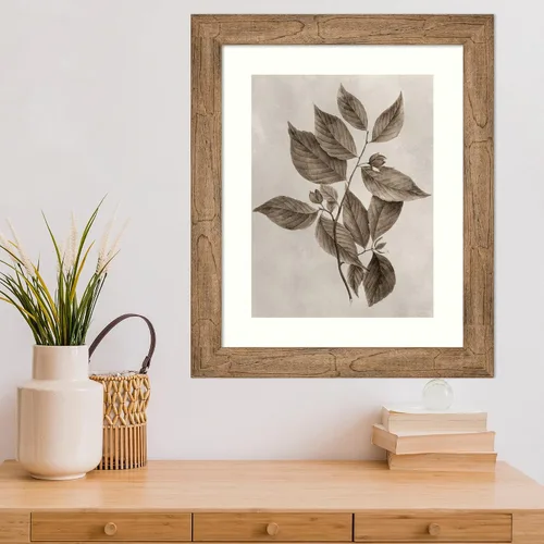 Vista 5 de Amanti Art Lienzo decorativo para pared enmarcado de 24 x 20 pulgadas, muestra de árbol III de Vision Studio, arte de pared de naturaleza
