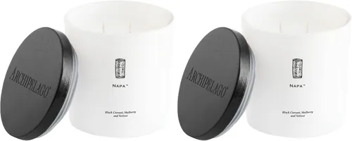 Vista 11 de Archipelago Botanicals Aspen Luxe - Vela Aspen Bark, aroma a ámbar y almizcle, elegante vela en tarro de vidrio blanco, cera de coco, mechas dobles