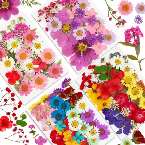 Vista 13 de Augshy Juego de flores secas prensadas reales con calcomanías transparentes de mariposa, calcomanías para álbumes de recortes, flores secas