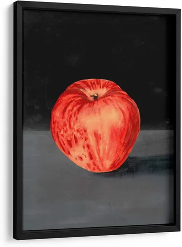 Vista 5 de Canvas Lab Fruit on Shelf I by Naomi McCavitt 11 x 15 in Fine Art Framed Print, Frame Color: Black, With Mat Botanical, Floral, Nature