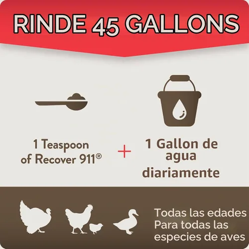 Vista 5 de FlockLeader Recover 911, Suplemento de Agua Probiótico para Estrés Severo para Pollos con Electrolitos, Prebióticos y Orégano, para la Muda, Clima