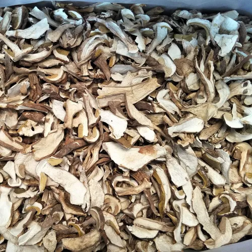 Vista 3 de Boletus, cep, Boletus Luridus, Boletus Reticulatus, Boletus Taianus, Boletus Sylvestris, Boletus natural, Boletus Venturii, niuganjun, hongo seco