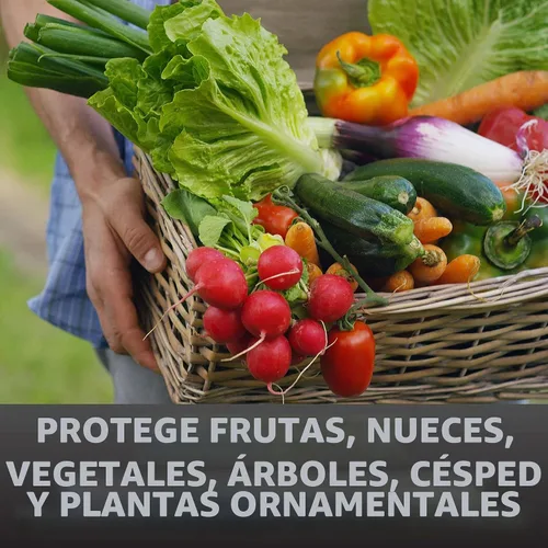 Vista 3 de Spectracide Immunox - Concentrado de aerosol fungicida multiuso para jardines de 16 onzas, protege hasta 2 semanas