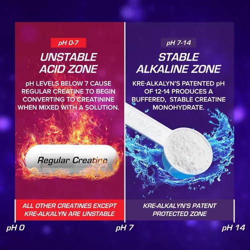Vista 5 de EFX Sports Kre-Alkalyn EFX Powder Suplemento en polvo de monohidrato de creatina con pH correcto Fuerza, crecimiento muscular y rendimiento