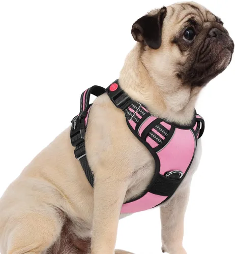 Vista 18 de Rabbitgoo - Arnés para perro de tamaño pequeño, sin tirones, 3 hebillas, fácil de poner y quitar Negro