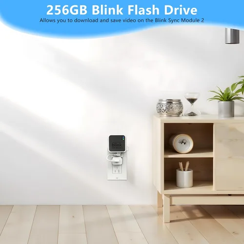 Vista 4 de Unidad flash USB Blink de 256 GB, con soporte de pared con toma de corriente para Blink Sync Module 2, almacenamiento USB Blink y soporte de cámara