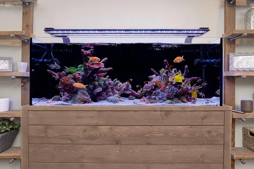 Vista 4 de Current USA Orbit Marine - Luz LED para acuarios, para tanques de peces de agua salada y arrecifes de coral. Control inalámbrico LOOP