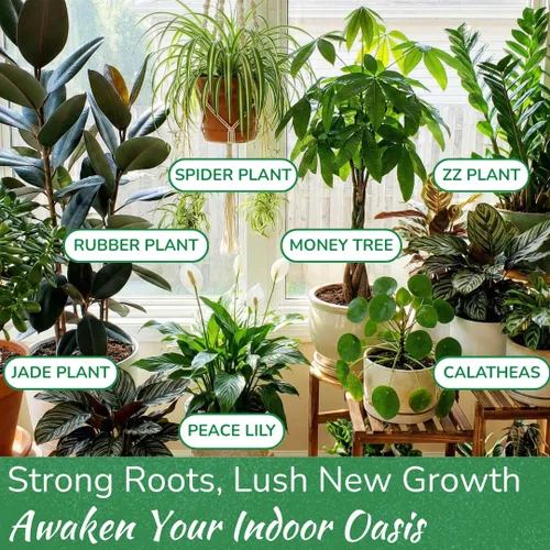 Vista 5 de Abono para Plantas de Interior de Houseplant Resource Center - Fertilizante Líquido Orgánico para Pothos, Lirio de Paz, Monstera, Cactus y Más - 8 oz