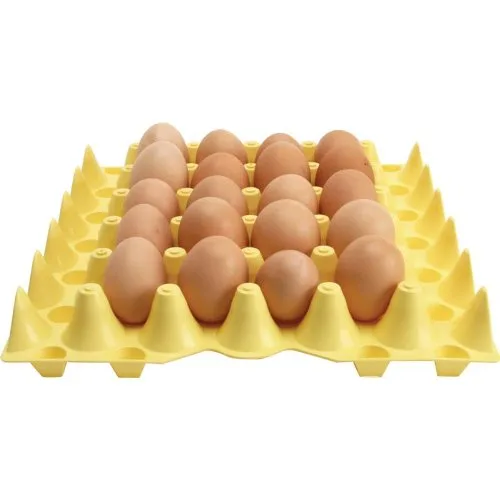 Vista 3 de Bandeja de huevos recubierta de plástico