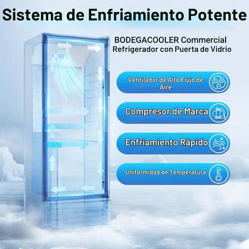 Vista 5 de BODEGACOOLER Refrigerador Comercial de Bebidas, Refrigerador de Exhibición de 290L con Luz LED Suave, 264 Latas y 120 Botellas Refrigerador