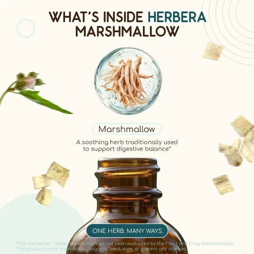 Vista 4 de HerbEra Marshmallow B60 - Tintura de extracto de hierbas sin alcohol, gotas líquidas concentradas de malvavisco natural (Althaea Officinalis)