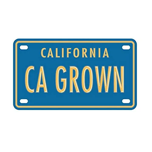 Vista 8 de Dátiles sin hueso orgánicos Deglet Noor Premium cultivados en California Sun Ripened OU Kosher por Desert Valley Date, 2.5 lb