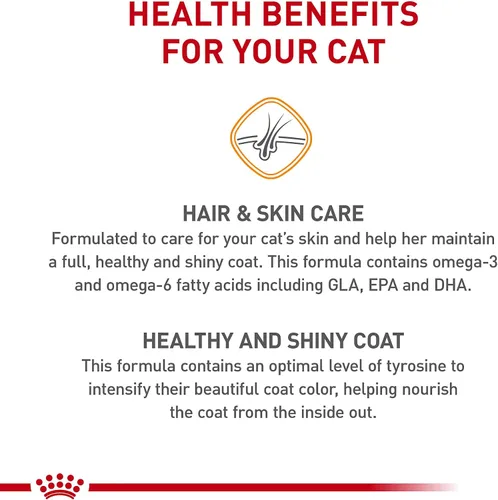 Vista 11 de Royal Canin Cuidado del cabello y la piel Alimento seco para gatos, bolsa de 7 libras