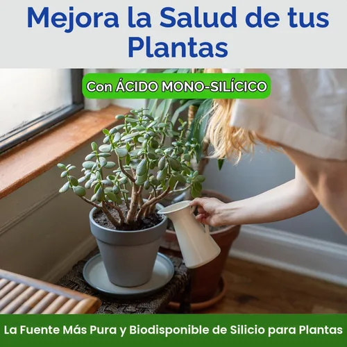 Vista 2 de AgroMagen, Si-Tech Solución nutritiva de sílice, ácido monosilícico para plantas con tecnología de quelación (4 onzas líquidas)