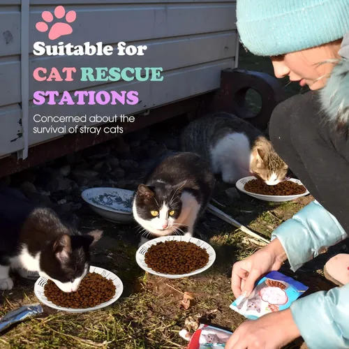 Vista 6 de Irenare Juego de 10 platos de cerámica para gatos de 6 pulgadas, anti fatiga y fatiga para gatos, lindos platos poco profundos para comida y agua
