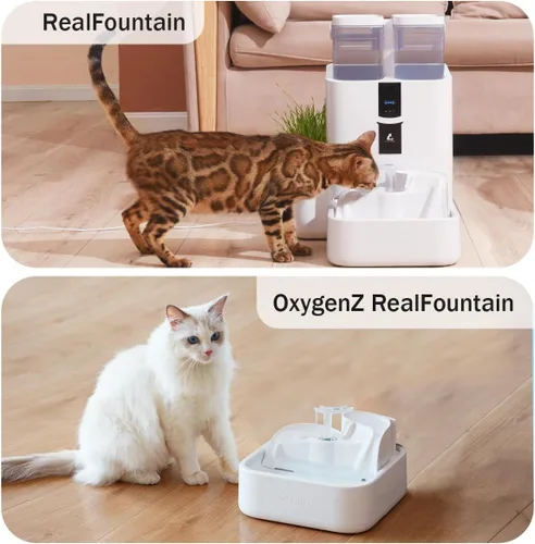 Vista 7 de RealPura Filtro de Fuente de Repuesto de 6 Piezas Compatible con Dispensador de Agua RealFountain para Mascotas, Juego de 3 Meses de Repuesto