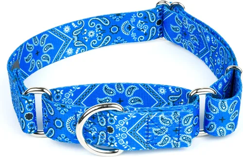 Vista 12 de Country Brook Petz - Collar de perro Albuquerque Martingale - Colección Country and Western con diseños rústicos (1/2 pulgada, 2XS)