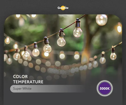 Vista 2 de Goodlite Bombilla LED G-83446 de 5000 K, 7 W, A19, 850 lúmenes, equivalente a 60 W, base E26, color blanco superregulable