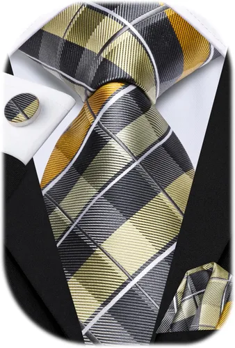 Vista 48 de Hi-Tie Corbata clásica de cachemira para hombre con pañuelo y gemelos a cuadros