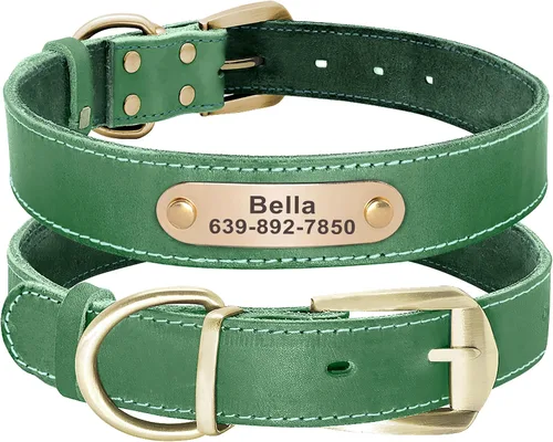 Vista 9 de Didog Collares de perro de cuero genuino con placa de identificación grabada, collar de perro de cuero suave personalizado con etiqueta de Verde