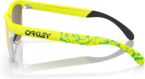 Vista 44 de Oakley unisex-adult Oo9284 Frogskins Range Round Sunglasses