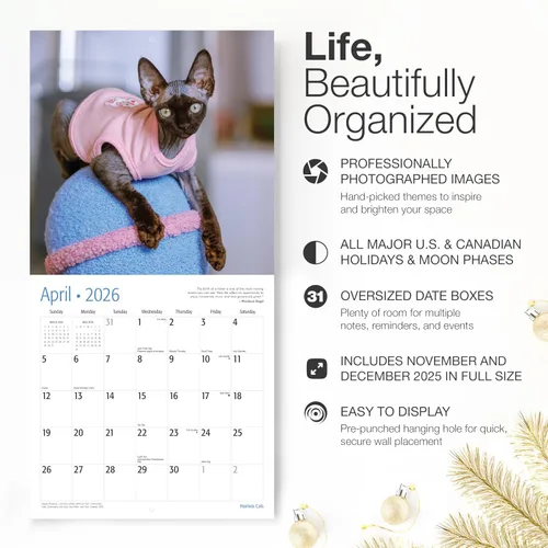 Vista 2 de RED EMBER Hairless Cats - Calendario de pared 2026 de 12 meses, 12 x 24 pulgadas, abierto, papel grueso y resistente, para regalo, calendario 2026