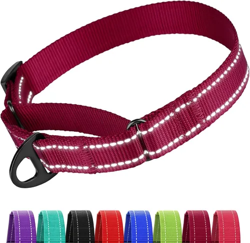 Vista 22 de CollarDirect Martingale - Collar de nailon resistente para perros pequeños, medianos y grandes [nailon, estampado, aguamarina, L, 15-20 pulgadas)