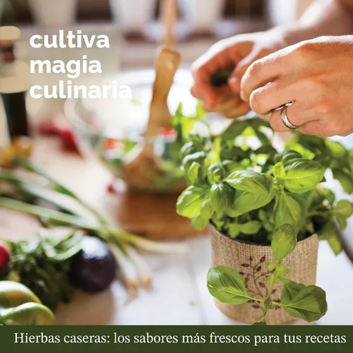 Vista 7 de Kit de jardín para ventana interior de 9 hierbas, semillas de plantas de interior, regalos de cumpleaños Best Unique Gift Ideas for Women, Mom