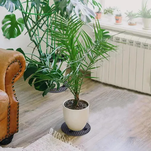 Vista 5 de 6 soportes para plantas en maceta, 12 pulgadas, elevador de maceta perfecto para interiores y exteriores, jardín, flores para evitar la pudrición