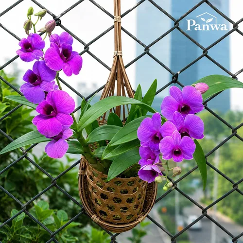 Vista 3 de cesta colgante de orquídea hecha a mano 100% de bambú tailandés – 4 pulgadas, juego de 3