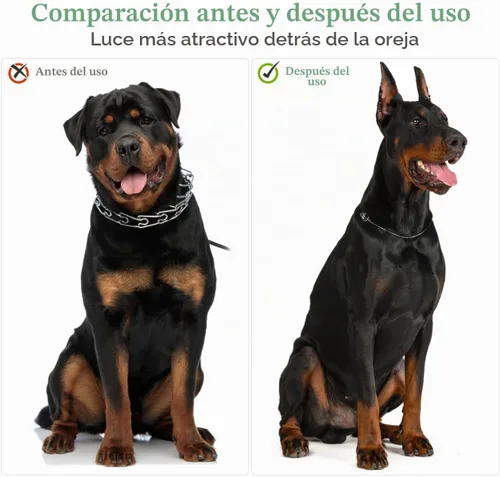Vista 3 de POPETPOP - Juego de 2 juegos de publicación de orejas de perro, herramienta de pie de oreja Doberman con cinta Herramienta de soporte para orejas