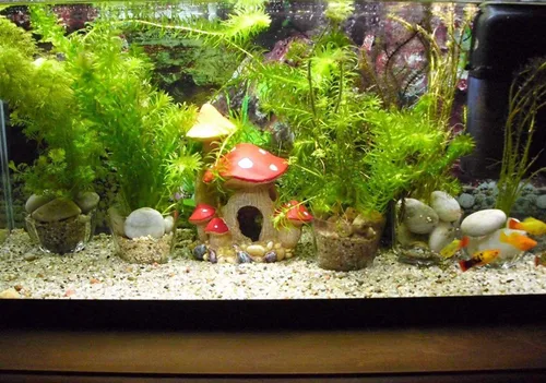 Vista 8 de Bonita decoración de casa de hongos para acuario, adorno de pecera, cuevas de Pleco para escondite de peces pequeños y decoraciones de jardín