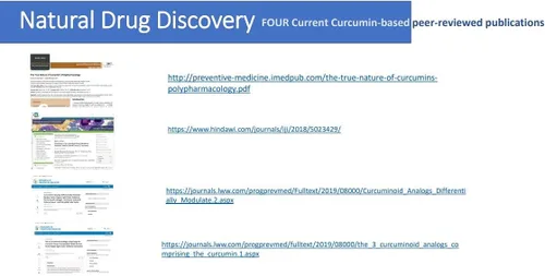 Vista 6 de Pro NovoCurcumin-BioBDMC50-Next Generation Curcumina altamente mejorada - 240 cápsulas