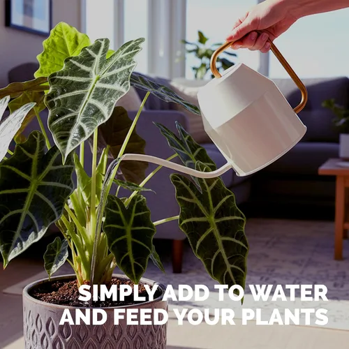 Vista 5 de Alocasia Fertilizer - Alimento líquido vegetal para hojas más grandes, 32