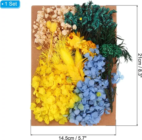 Vista 2 de PATIKIL Flores prensadas para manualidades, flores secas a granel, flores prensadas naturales, hojas para resina, jabón, vela, álbumes de recortes