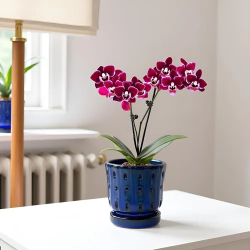 Vista 8 de Ceramic Orchid Pots with Holes 5'' Orchid Planter Set of 2 Azul oscuro