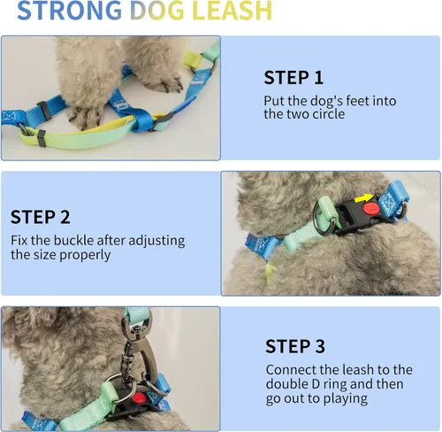 Vista 4 de AIITLE Arnés para perro, correa y collar sin tirones, collar básico ajustable con una correa resistente, hebilla súper resistente y anillo en D, Azul