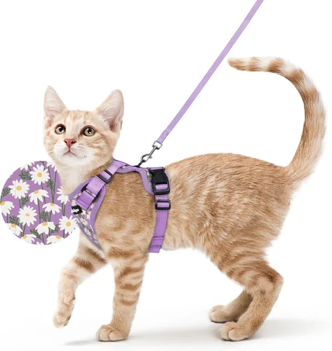 Vista 59 de rabbitgoo Cat Harness and Leash Set, Escape Proof Vest, XXS, Berry Pounce Soft Breathable Mesh, No-choke Adjustable Fit, Snap Buckles, Sturdy