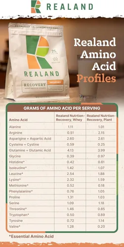 Vista 8 de Proteína vegetal vegana de chocolate aislado – Proteína de grano Fava en polvo para recuperación – 0.78 oz de proteína – 17 porciones