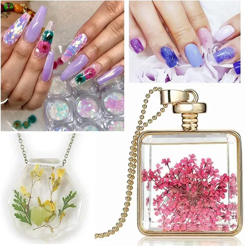 Vista 7 de LPOne - 60 piezas de uñas 3D de flores secas, accesorios de resina mini naturales para suministros de arte de uñas, calcomanías mixtas de flores
