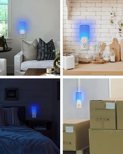 Vista 7 de Paquete de 6 Cartuchos de Repuesto Compatibles con Raid Plug-in Blue Light, Tarjetas de Pegamento de Repuesto para Stem Blue Light Enchufe de Pared