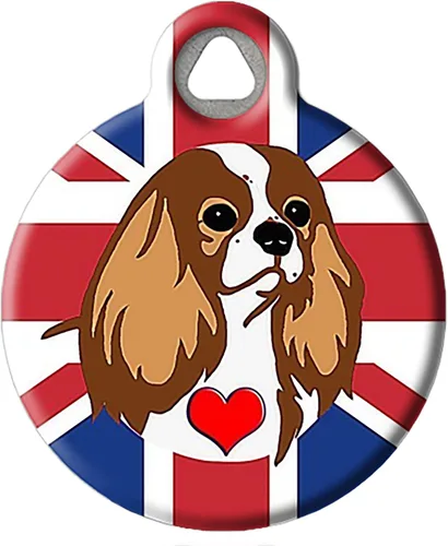 Vista 7 de Birthday Pug - Etiqueta de identificación personalizada de mascotas para perros, etiqueta de identificación de acero inoxidable con revestimiento